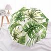 1pc Tropical Leaves Automatic Open/close Umbrella, 8-Rib sturdy structure, Auto Folding/Opening, Portable Travel Umbrella for Women,074