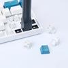 2 In 1 Switch Puller Keycap Puller Key Switch Keycap Puller for Mechanical Keyboard Gaming Keyboard Switches DIY Cleaning Tool  