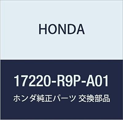 Original Honda Luftfilter Teilenummer Element, 17220-R9P-A01