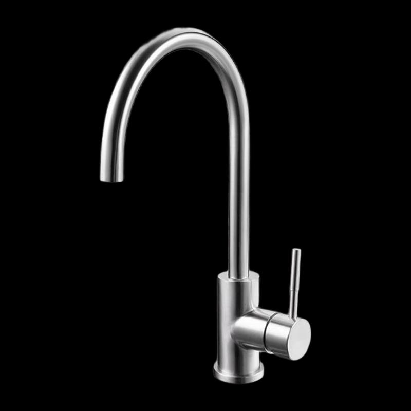 SBPG 304 Stainless Steel Wall-Mounted Kitchen Faucet