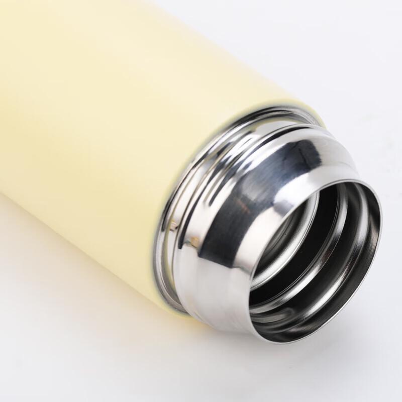 Fuguang 304 Stainless Steel Vacuum Insulated Tea Mug