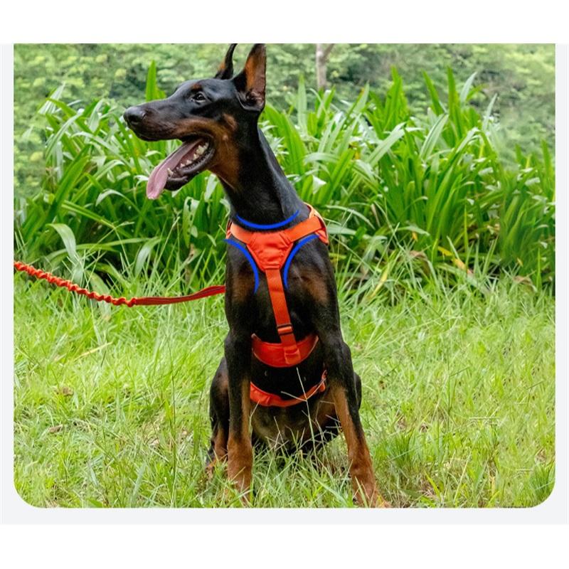 Γιλέκο Έλξης για Κατοικίδιο Σκύλο, Λουρί Περιπάτου Σκύλου