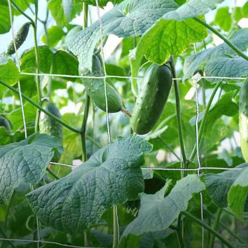 Plant Trellis Netting Heavy-Duty Plant Support Vine Climbing Hydroponics Garden Net Accessories Gardening Bracket Climbing Nets