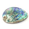 New Zealand Abalone Shell Smudging Dish, Accessory Case, and Crystal Container. Essential for White Sage Purification.