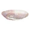 Decorative Shell Shape Home Decor Jewelry Storage Tray Storage Container Storage Holder Art Craft