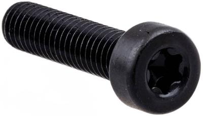 Schraube K960 (Innen-Torx-Zylinderkopfschraube M 6 X 25