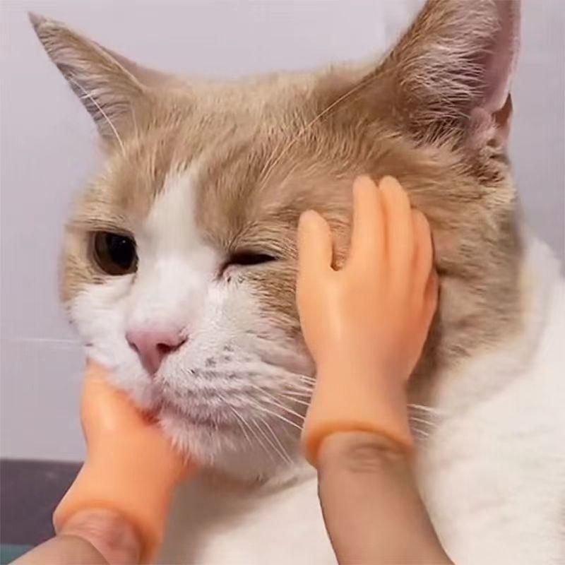 Cartoon Fun Creative Funny Mini Finger Puppet Set Soft Little Hands Five Finger Model Gestures Tease Cat Pet Toys Halloween Gift