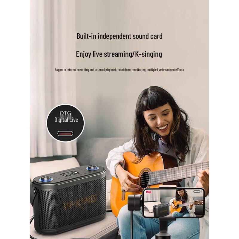 W-King H10II Portable HIFI Karaoke Bluetooth Speaker CN Plug (adapter Included)