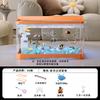2026 Desktop-Aquarium mit Licht Kleiner Fischbehälter für Wohnzimmer Ökologische Landschaft Goldfischglas All-in-One Kompaktes Aquarium Dekor