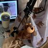 Cute Plush Dog Keychain Dachshund Animal Puppy Dolls Phone Case Pendant  Gift for Friends
