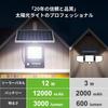 Intelamp Solar Light with Motion Sensor for Outdoor LED 170 Maximum Lumens of 2000 High High Solar Automatic 3 Intelligent No Electricity IP65