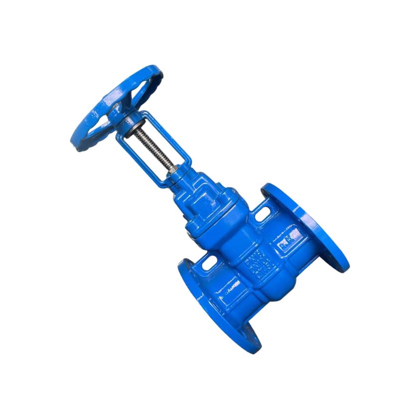 Chuxiao Z41T-16Q Cast Iron Rising Stem Gate Valve