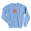 Care Bears Unisex Adult Embroidered Sweatshirt