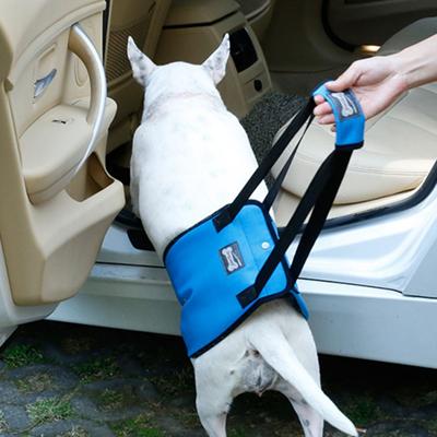 Yaşlı Engelli ve Yaralı Köpekler İçin Güvenlik Bakımı Yardımcı Kemer Arka Bacaklar Kalça Desteği Koşum Yürüyüş Braketi