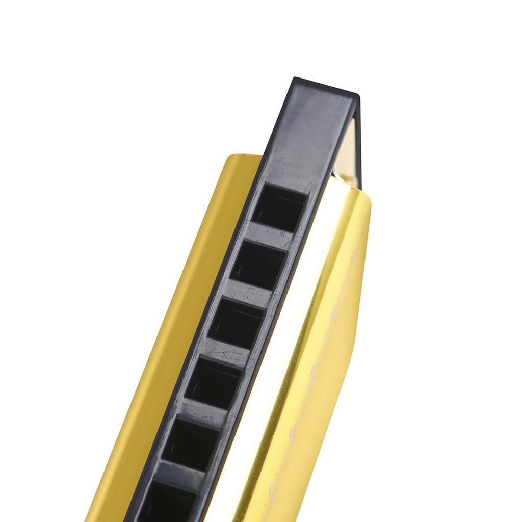 IRIN 10 Hole Harmonica Key of C 20 Tone Musical Gift with Storage Case for Beginner Student