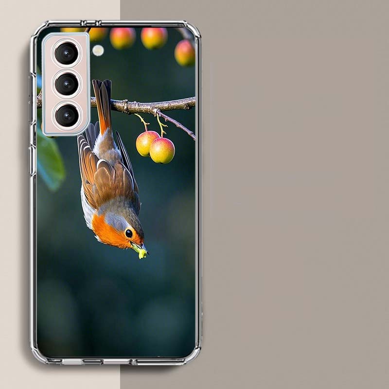 

Robin Bird Phone Case For Samsung A16 A26 A36 A56 A17 A15 A25 A35 A55 A14 A24 A34 A54 A04S A05S Galaxy Note 20 10 9 8 A9 A8 A7 A Samsung Note 20