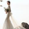 Leichtes Hochzeits-Abendkleid für Damen, Temperament, schlicht, hochwertig, Prinzessinnen-Stil, Fischschwanzkleid