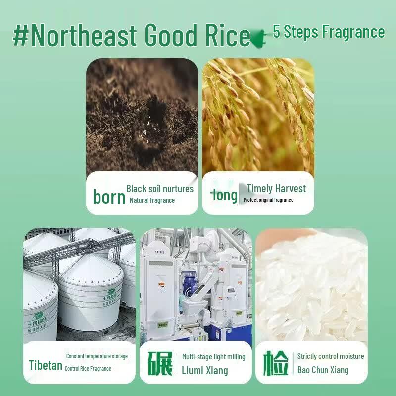 October Rice Field Sweet Long-Grain Fragrant Rice