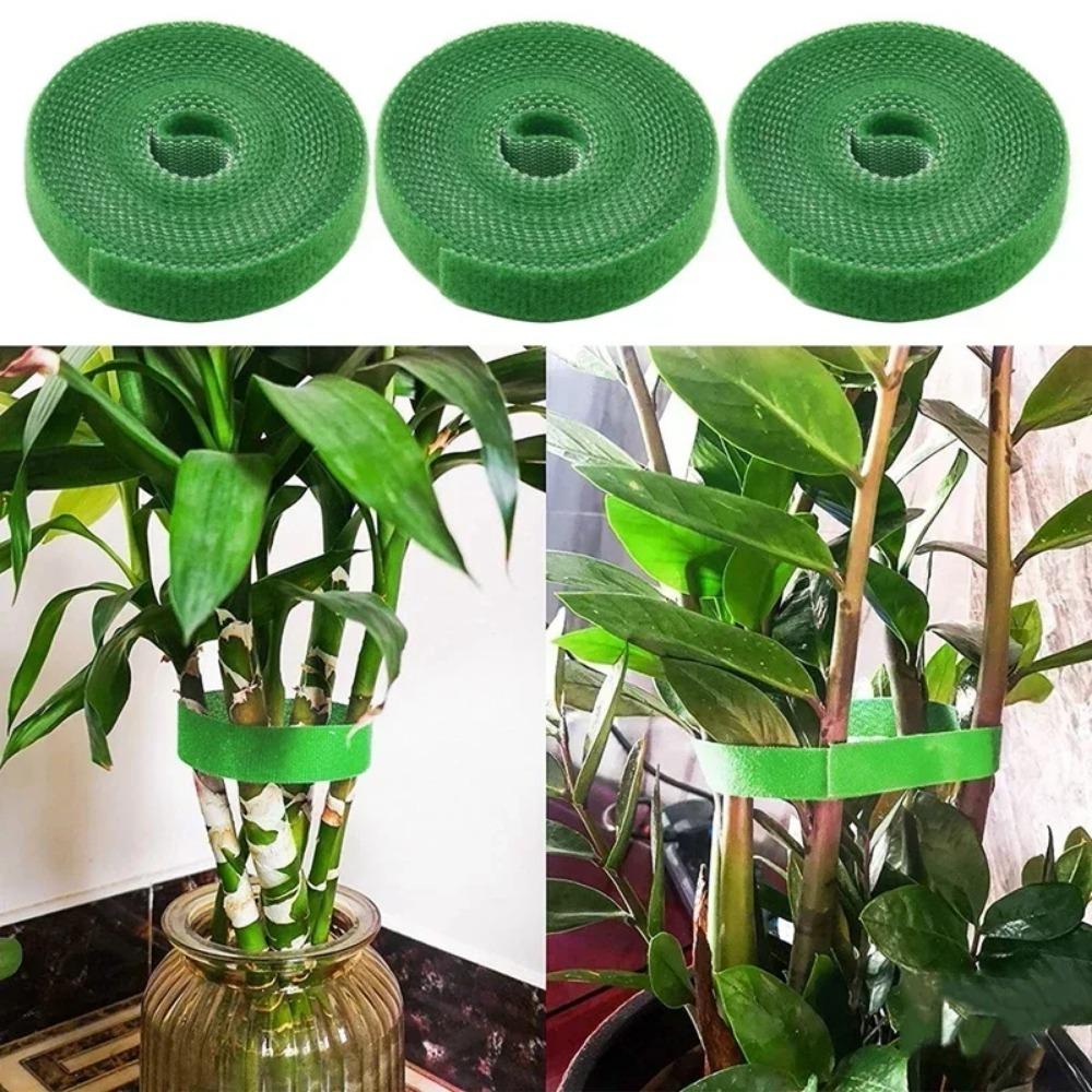 4 Stück 5m Pflanzenbinder Nylon Pflanzenbandage Bindung Hausgarten Pflanze Formband Klettverschluss Bambusstab Wickelstützzubehör