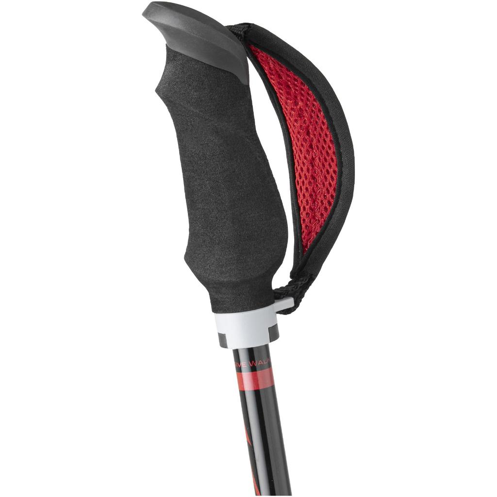 MIZUNO Nordic Walk Folding Walking Poles Set of C3JTPB10 4-Section LITE, 2, Unisex, Red,