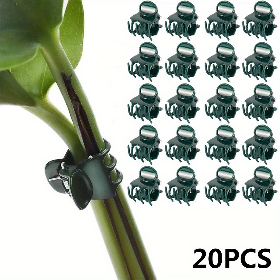 20Pcs Plastic Garden Clip, Dark Green Vine Support Bundle, Plant Clips, Phalaenopsis Graft Orchid Stem Clips