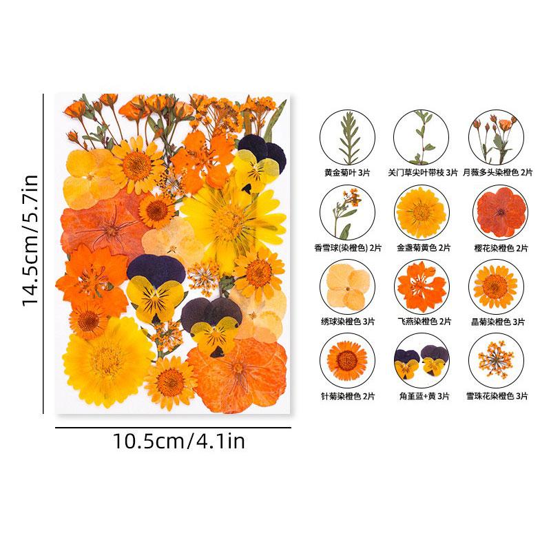 Halloween Theme Pressed Flower Kit for Resin Art Natural Real Pressed Orange Flower Leaves for DIY Epoxy Jewelry Bookmark