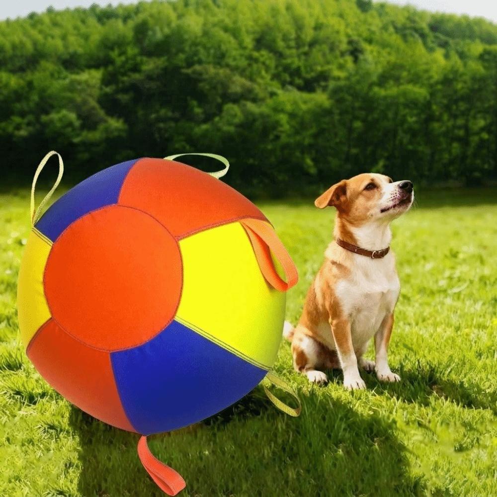 Wear Resistant Giant Herding Ball Tear-Resistant Dog Training Ball Interactive Dog Toy  Training