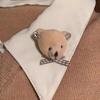 Stylish Bow Bear/Rabbit Brooch Pin Soft Plush Lapel Pin Clothes Badge Backpacks Pendant Women's Fashion Accessories