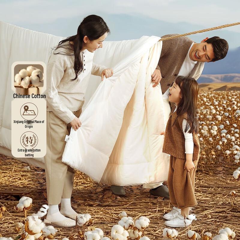 

Mercury Home Textiles Pure Xinjiang Cotton Quilt