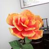 3D Simulated Magnolia Flower Large-scale 30/50CM Foam Simulation Flower Wedding Decoration Window Display Foam Magnolia