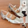 Coarse Heel Silver Mary Jane Small Leather Shoes Women's Shoes 2025 Autumn New French Evening Black Spring and Autumn Single Shoes