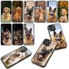 German Shepherd Dog Golden Retriever Phone Cover for Apple iPhone 17 16 11 Pro XS Max XR 6 7 8 Plus 16E SE 2020 Air 5 SE2 Case