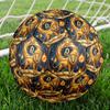 1pc Lion Zodiac Symbolism Theme Soccer Ball Football, Size 5, Lightweight PVC, Durable Outdoor Training Soccer Ball, Gift m61449