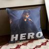 LLim Young WWoong Cushion Cover Reversible Soft Durable Pillow Cover Home  Car MultiScene Use for Daily Comfort