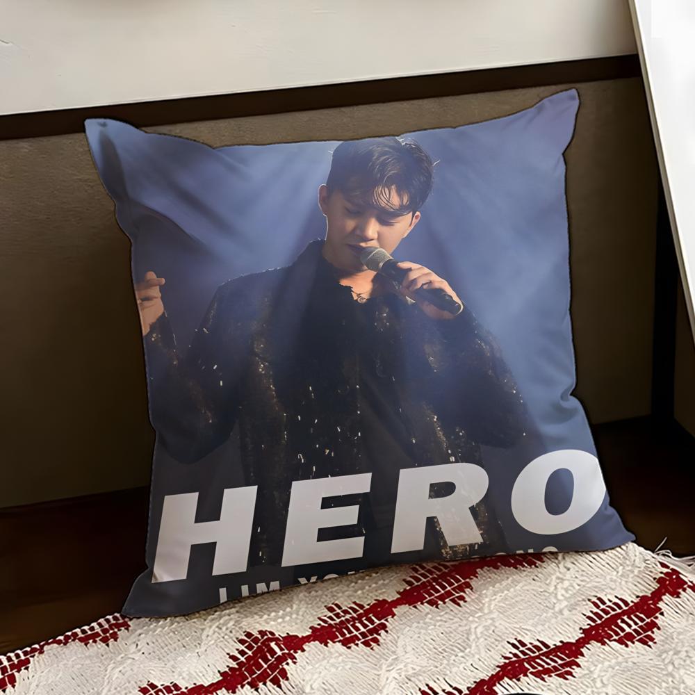 LLim Young WWoong Cushion Cover Reversible Soft Durable Pillow Cover Home Car MultiScene Use for Daily Comfort