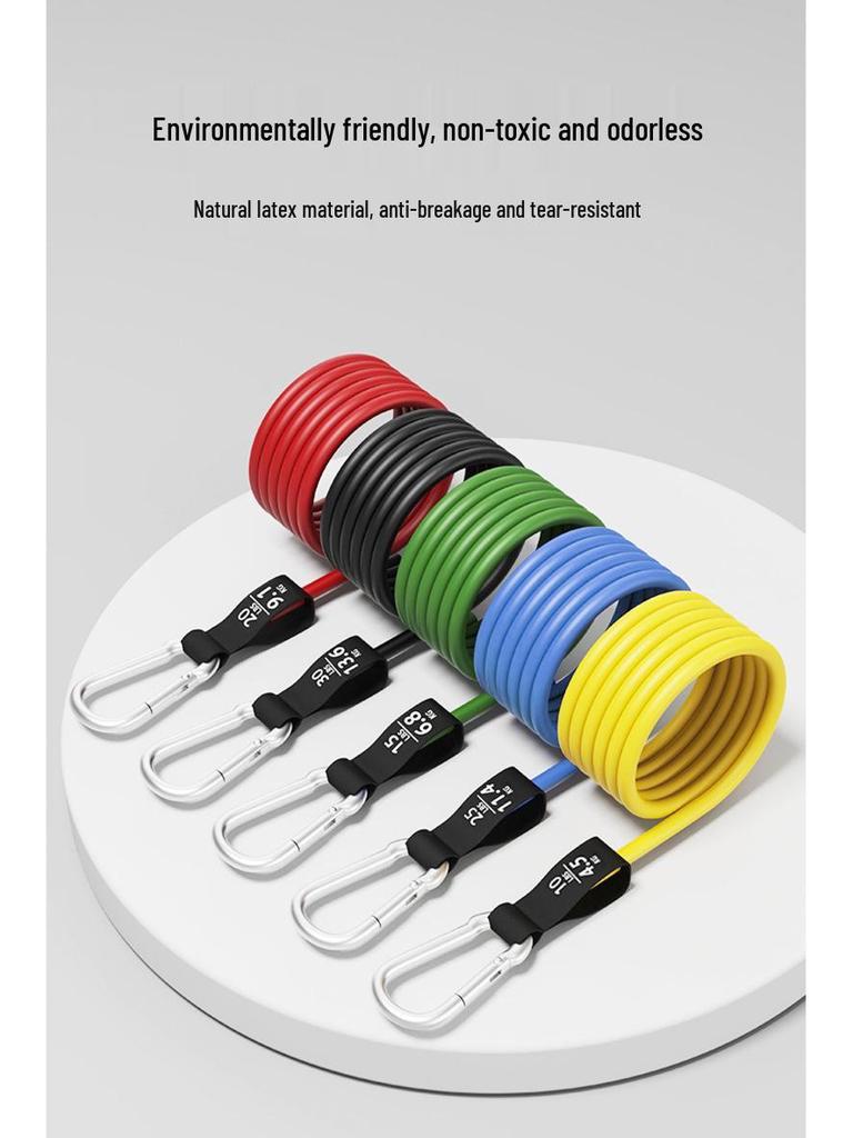 TPE 11-Piece Resistance Bands Set with Markings, Carabiner, Pulley Hook, Multifunctional for Home Fitness