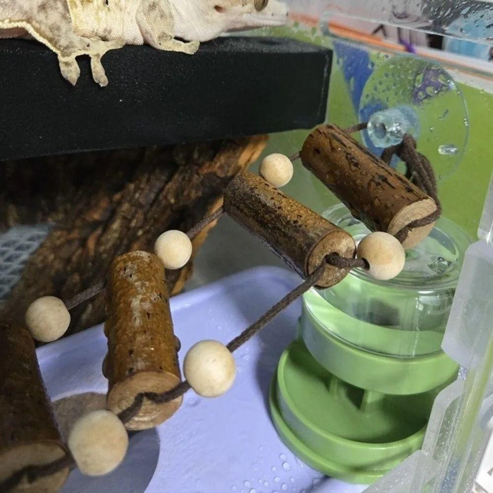 Detachable Reptiles Water Feeder Anti-slip Water Bowl Durable Reptile Water Dispenser  Turtle