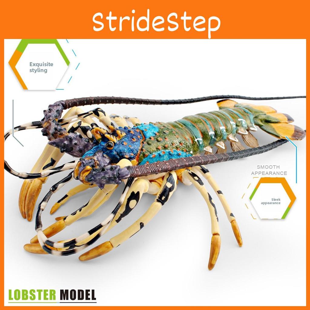 Lobster Pvc Marine Animal Model For Educational Display And Kids Gifts