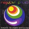CD REGULAR FRIES - Blue Print for a Higher Civ...  SOFTCD2 Soft City Recor 2001 Japan Dance & Electronica Used