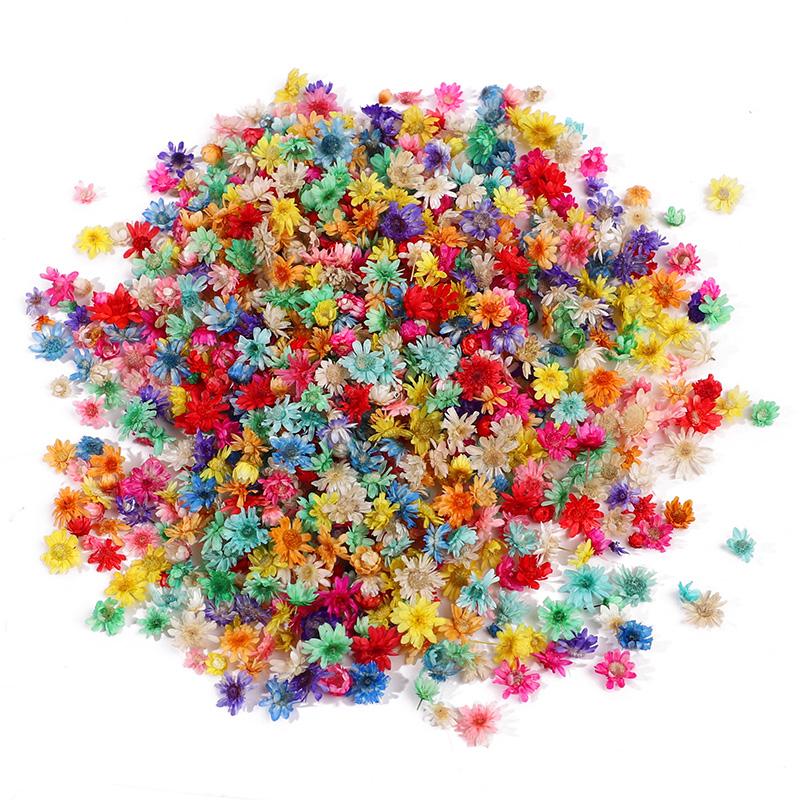 1Bag Dried Flowers For Epoxy Resin DIY Nail Art Craft Candle Soap Making Material Pressed Flower Wedding Party Home Decoration