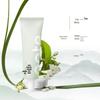 Baite Green Tea Moisturizing Hand Cream