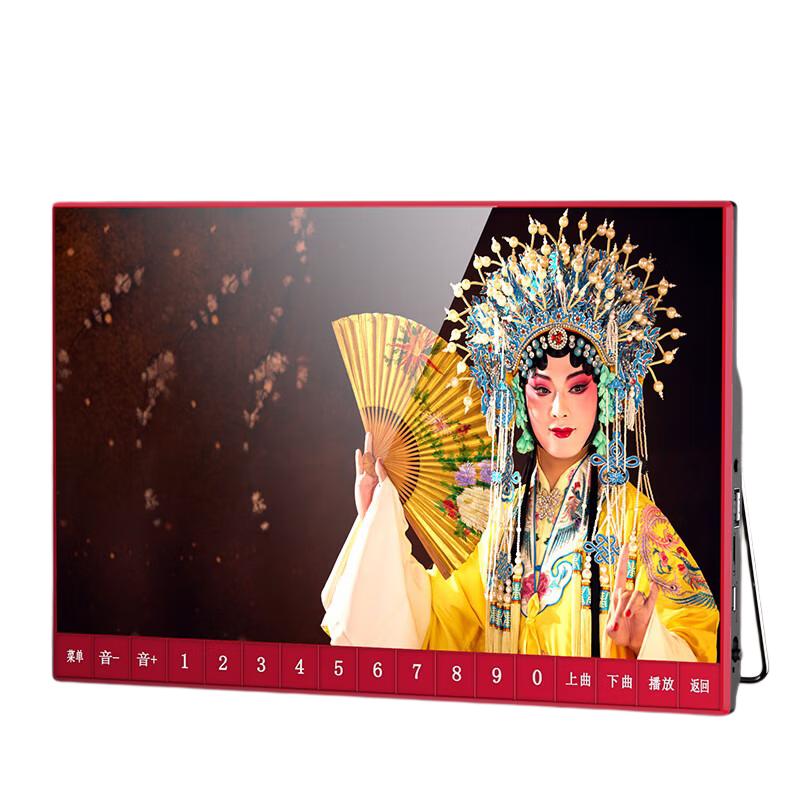 SAST V102 Portable Multimedia Player with Display and Radio CN plug (adapter included)