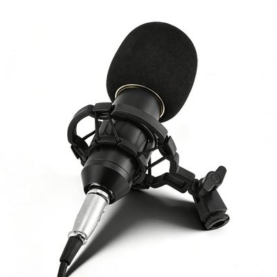 Accesorios para audio y video – Micrófonos