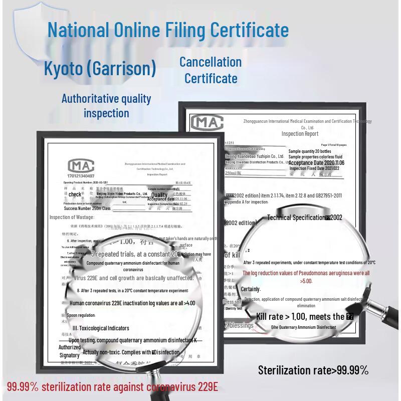 Xidebao Alcohol-Free Foaming Hand Sanitizer