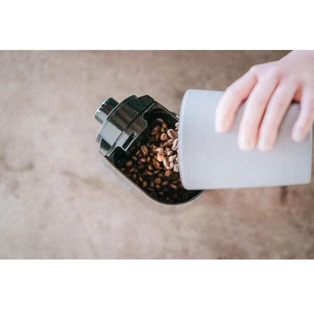 Кофемолка Melitta Molino schwarz (1019-02)