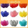 High-quality Natural Ostrich Feathers In Assorted Colors For Exquisite Party Decor