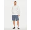 Шорты Jack & Jones Jpstcole