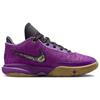 Nike LeBron 20 SE Vivid Purple GS FD0207-500