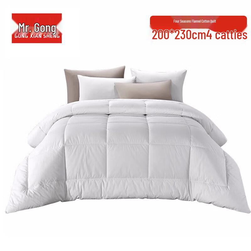 

Mr. Gong Five-Star Hotel Style Winter Warm Duvet Quilt, 200x230cm, 2kg