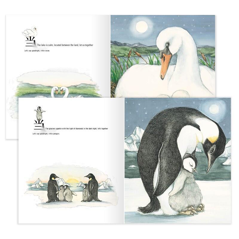Point-to-Read International Award-Winning Bedtime Picture Book Set